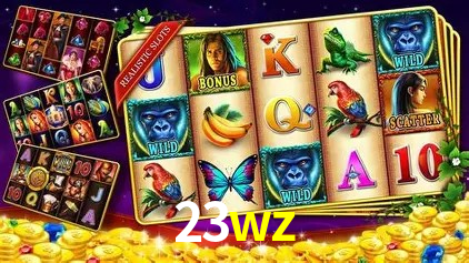 23wz